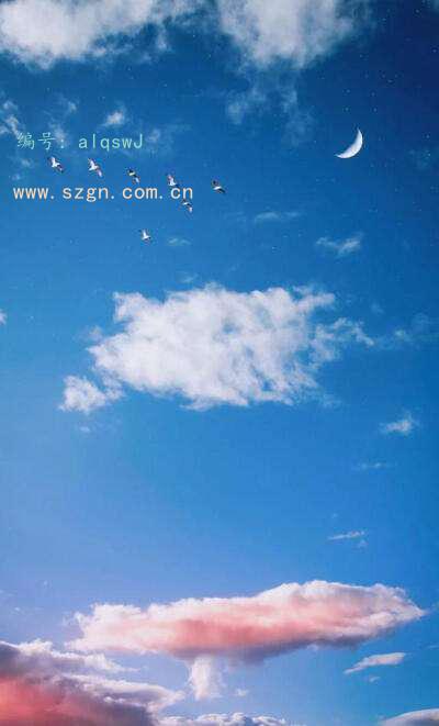 Ż