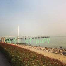 ḻ